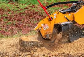 Best Lawn Disease Treatment  in Nixon, PA