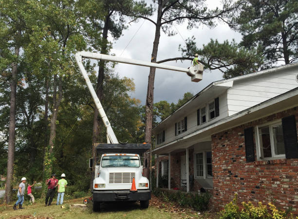Best Aeration Services  in Nixon, PA